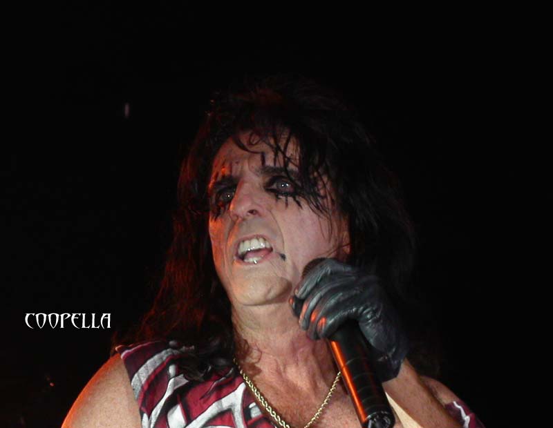 alice0492703.jpg